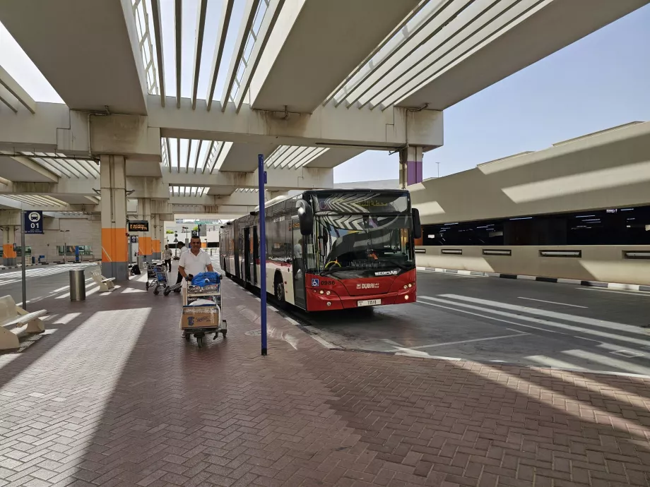 Bus stop, Terminal 3