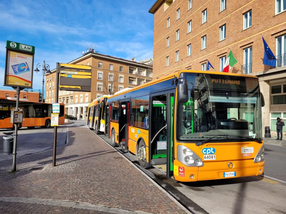 Buses Pisa