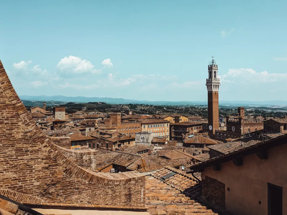 View from the cathedral