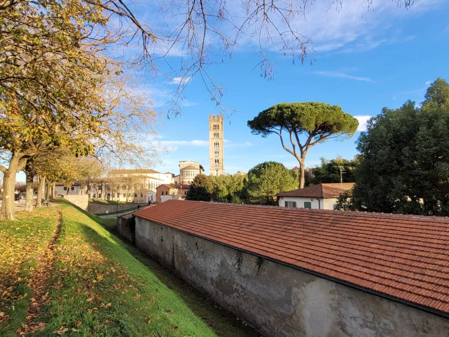 View of the Church of San Frediano from the walls