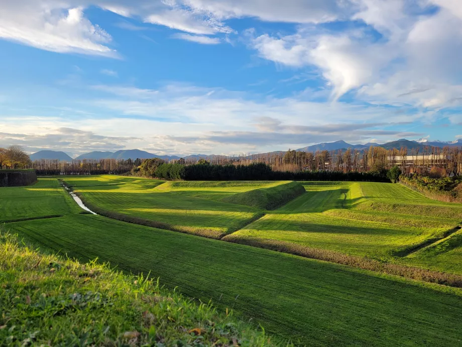 View of the Apuan Alps