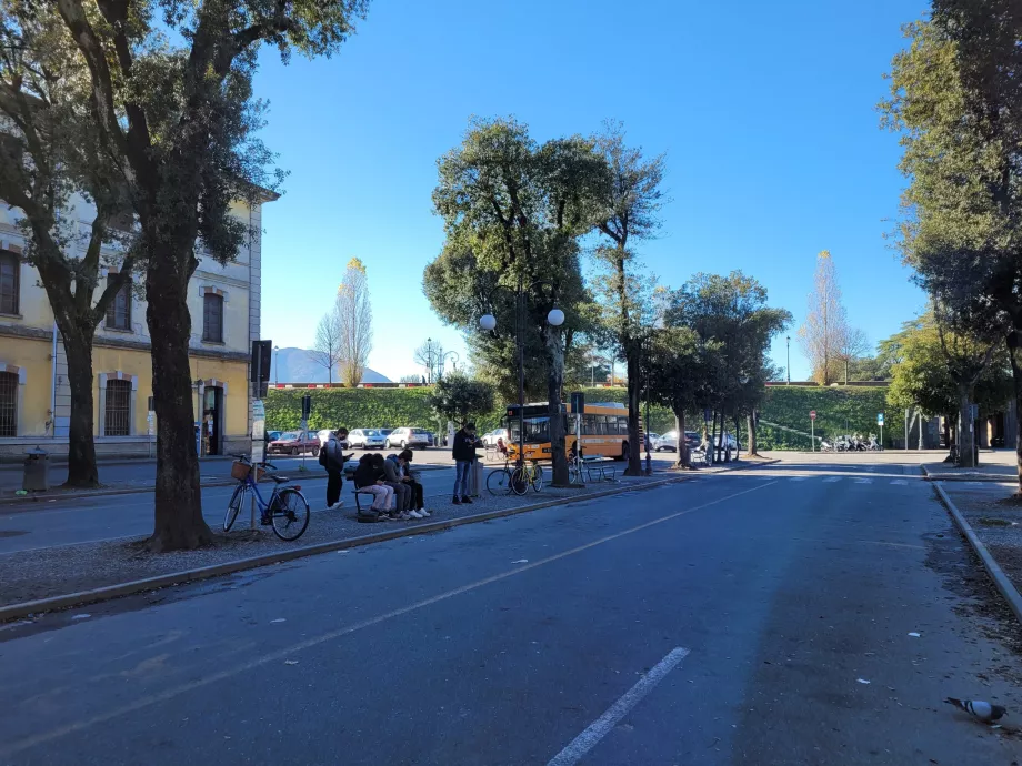 Lucca Bus Station