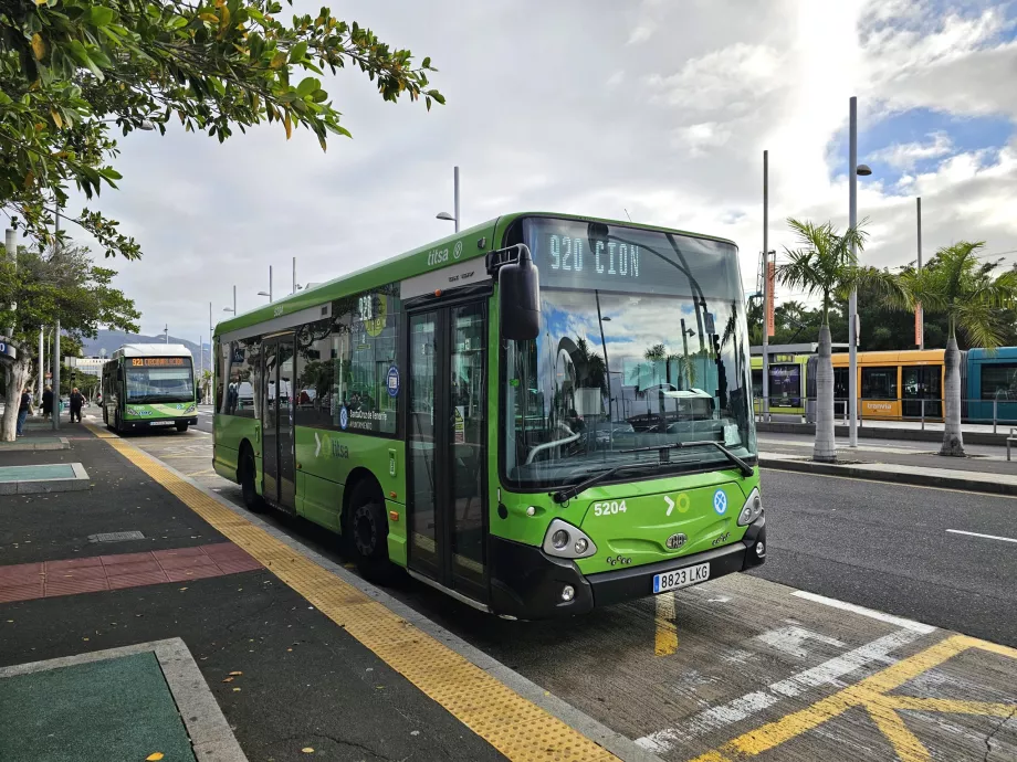 Bus in Santa Cruz