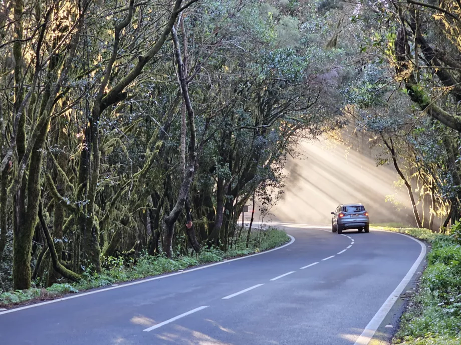 Roads in the morning sunlight