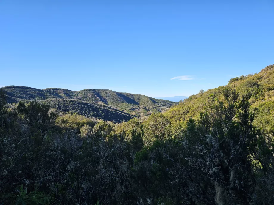 Landscape around Laguna Grande