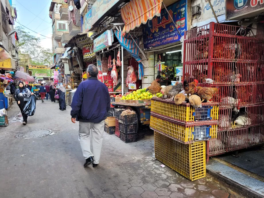 Islamic Cairo