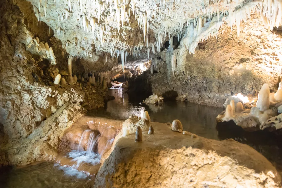 Harisson's Cave