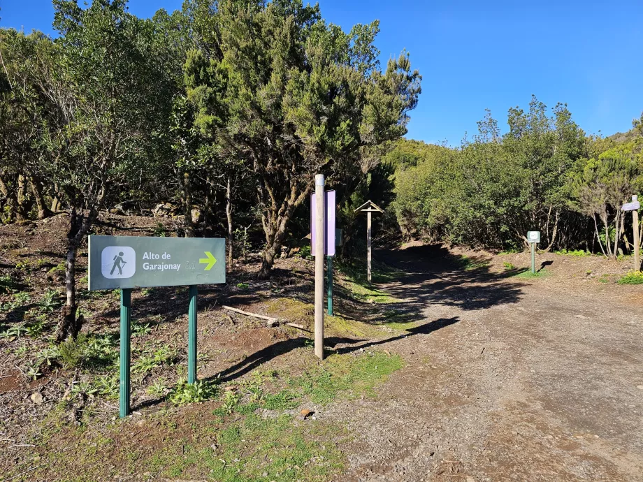 Start of the Alto de Garajonay trail