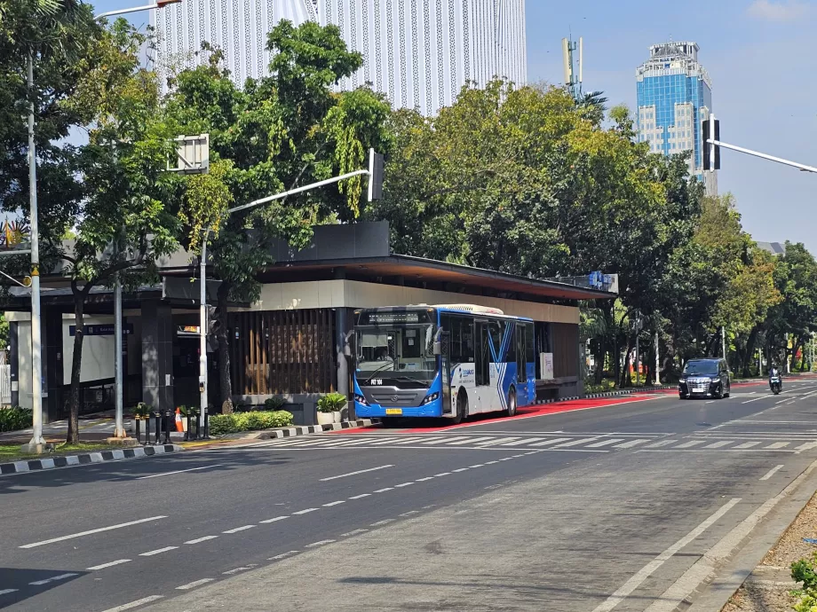 TransJakarta buses