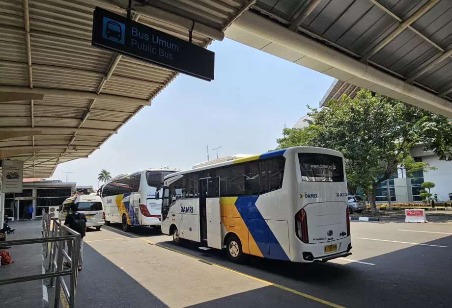 Bus stop, Terminal 1