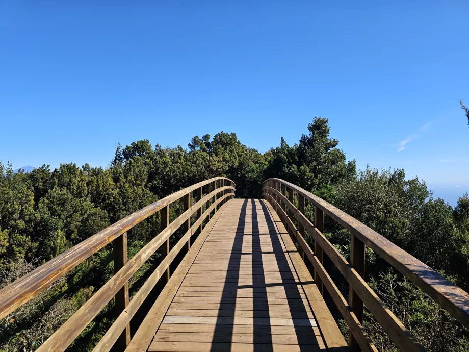 The road to Mirador del Morro de Agando