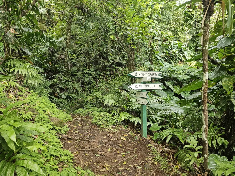 Hiking trails in Saba