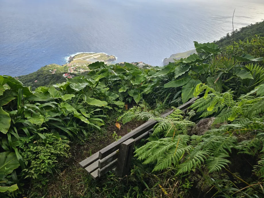 Bench on the hiking trail