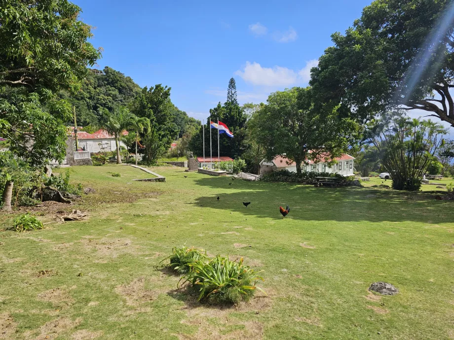 Public park in front of the museum