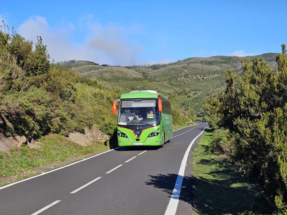 Buses Gomera