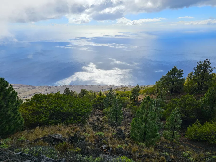 El Julan viewpoint