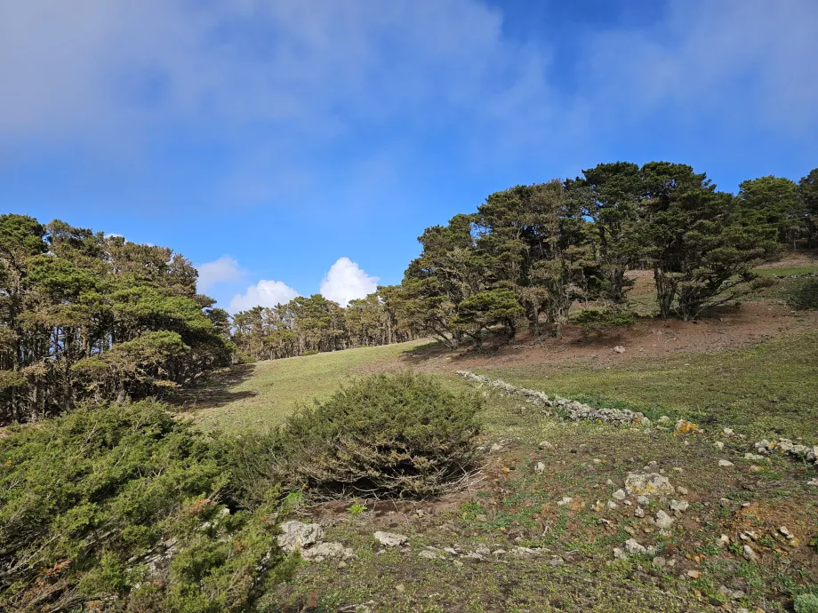 West El Hierro