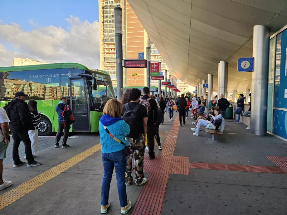 Bus queue to TFS airport