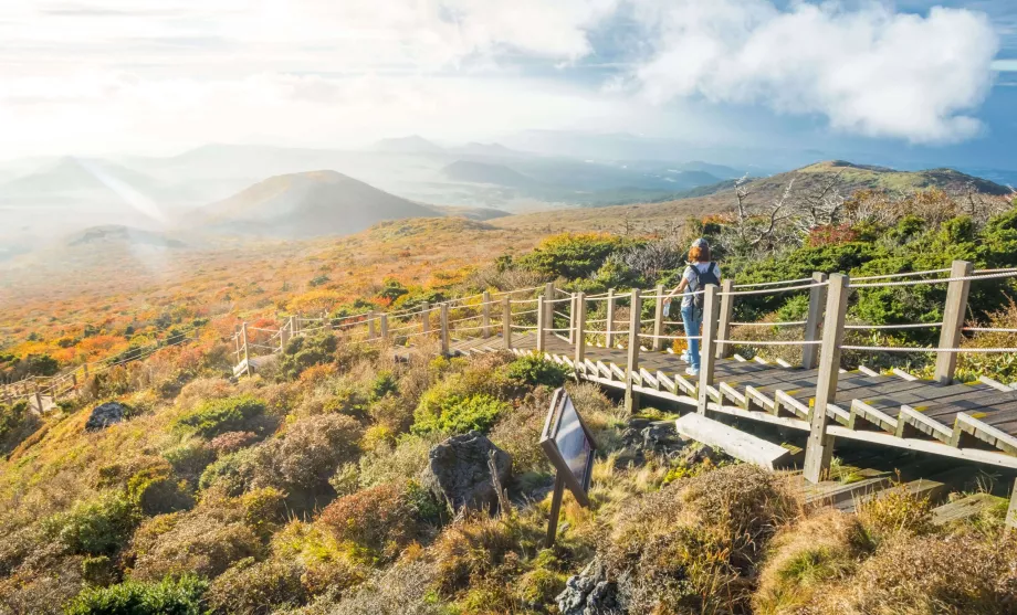 Jeju Trek