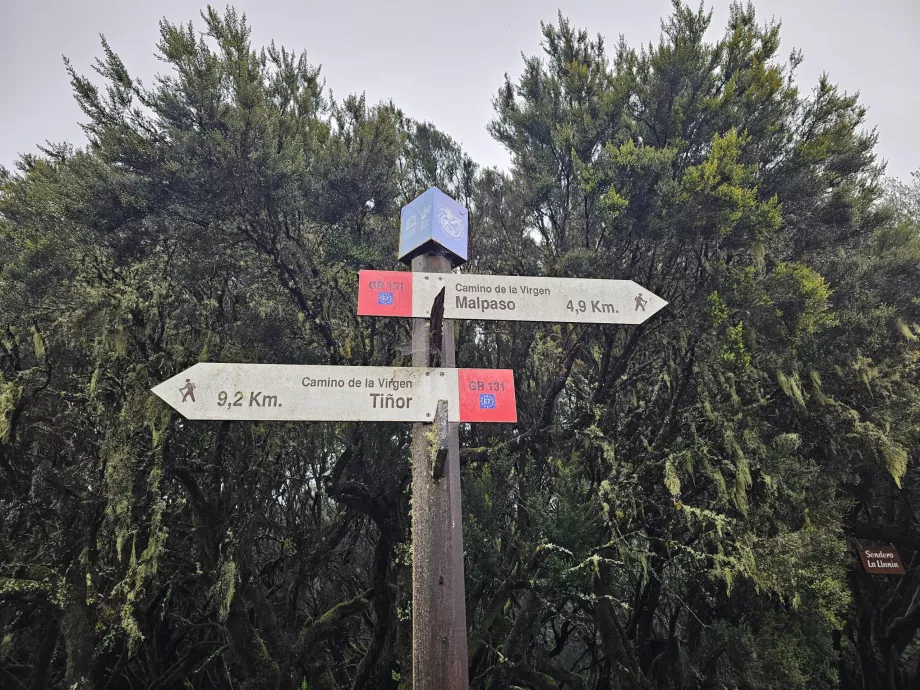 Signpost Malpaso