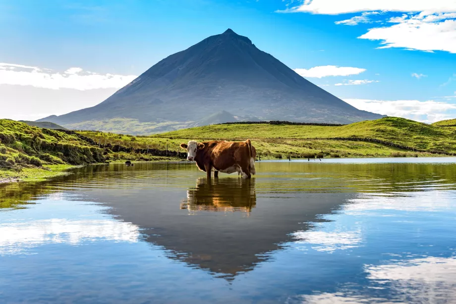 Azores Pico