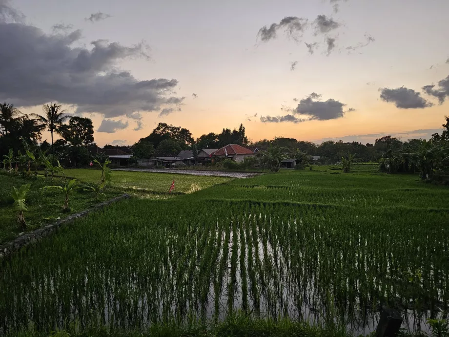 The road to Ratu Boko