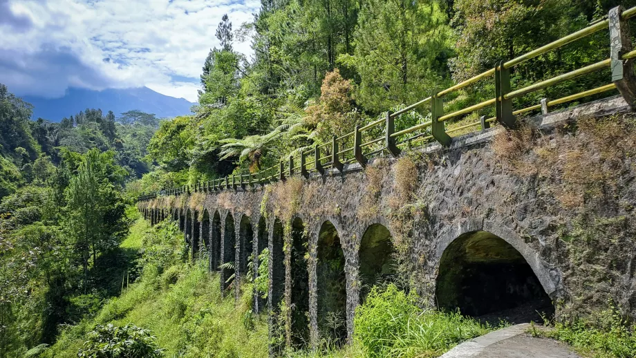 Mount Merbabu, Yogyakarta - all you need to know