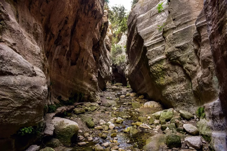 Akamas Gorge