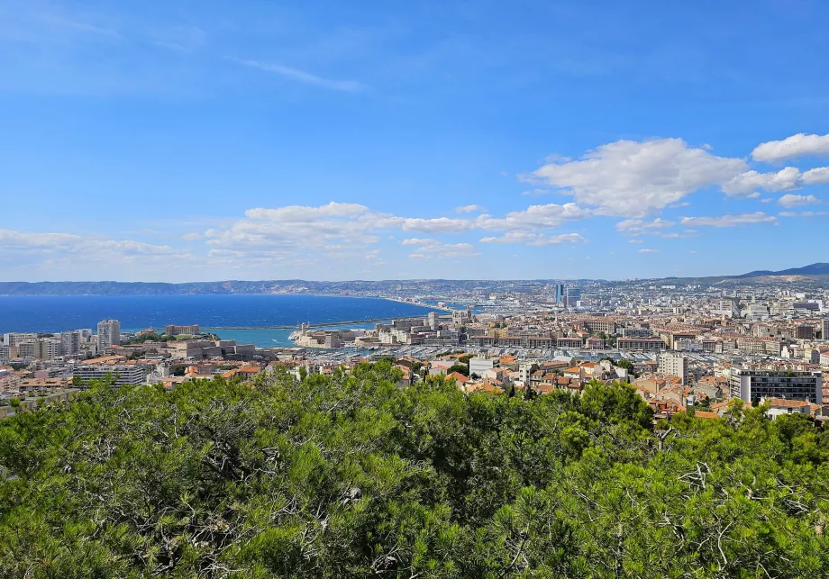 View from Notre-Dame Cathedral