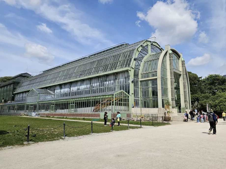 Greenhouse in the Jardin des Plantes