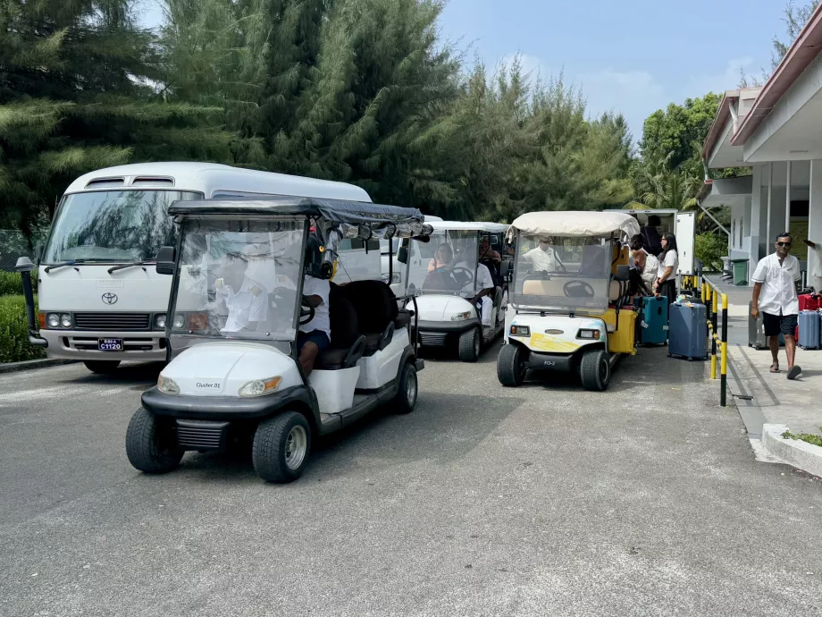 Buggies for the trip to the port