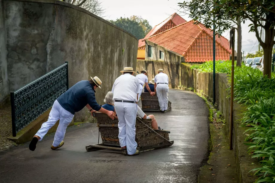 Madeira sledge