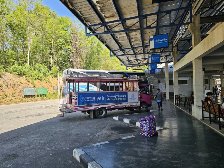 Pink Bus at Bus Terminal 2