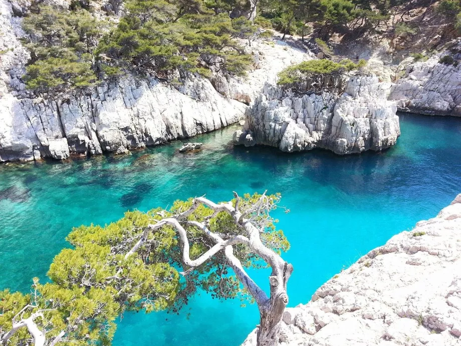 The bay in Calanques