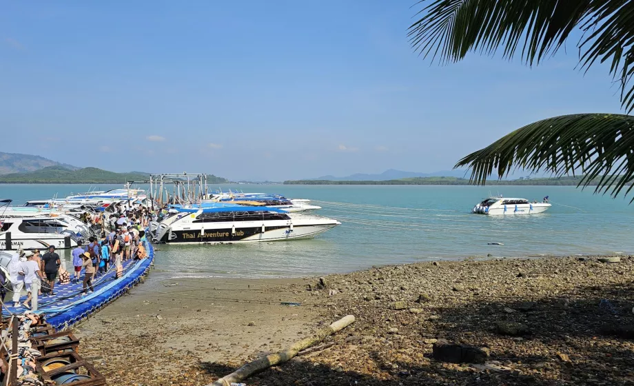 Boats, organized trips