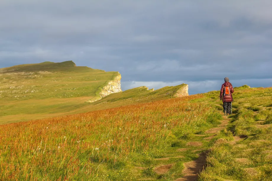 Journey along the cliffs