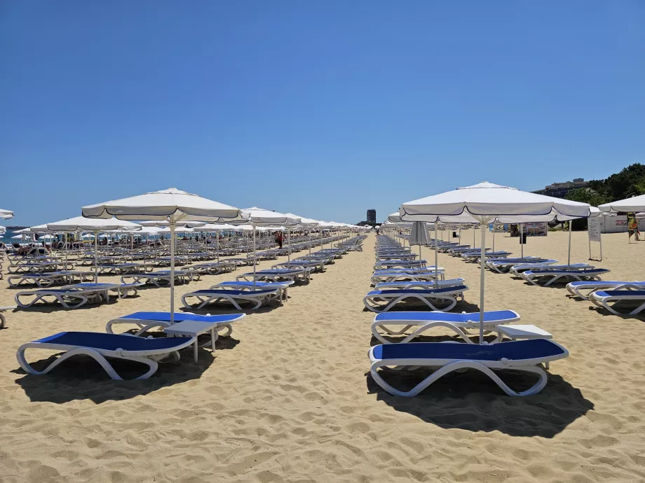 Sun loungers and parasols