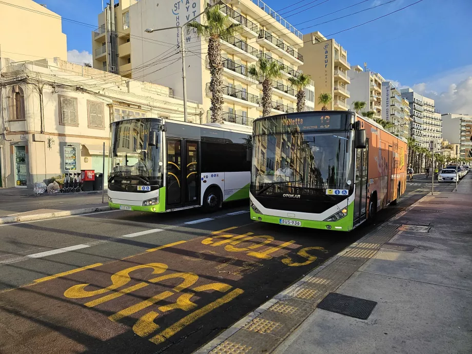 Buses in Malta