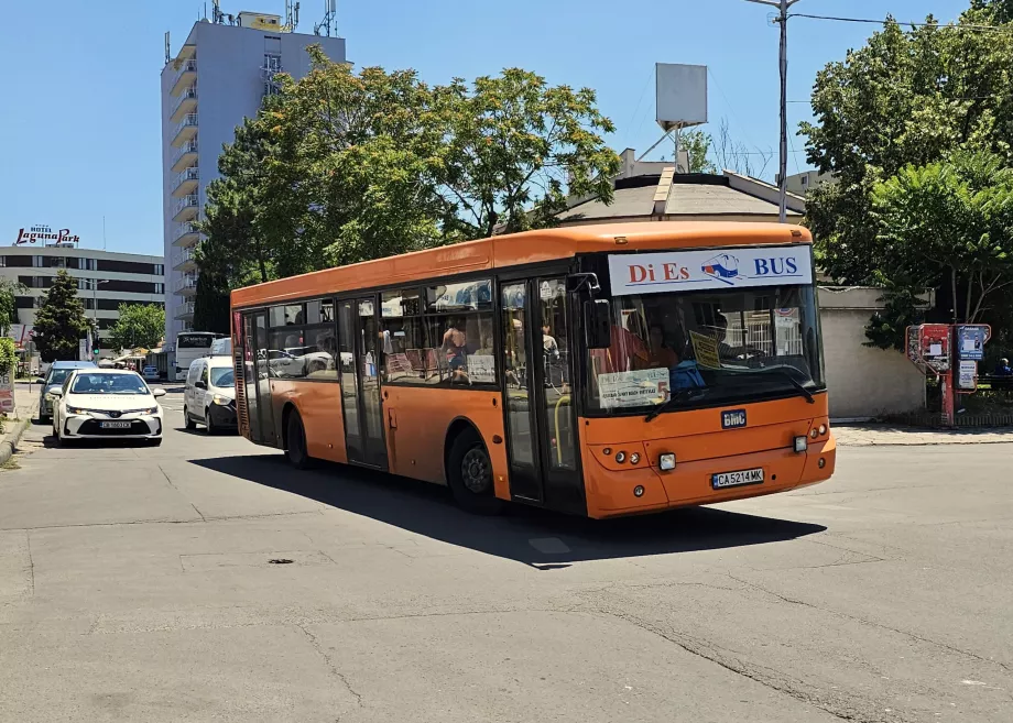 Local buses