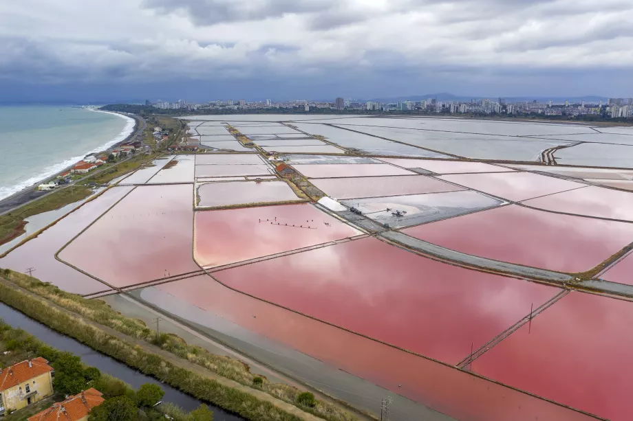 Salt pans