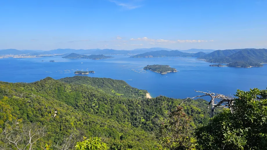 View from the top station of the cable car