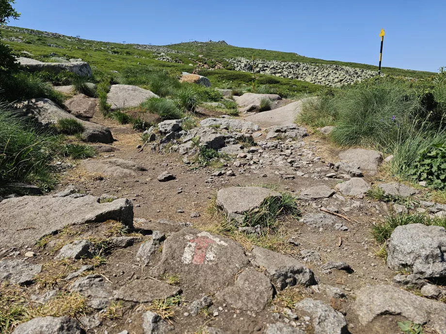 Tourist path to Vitosha