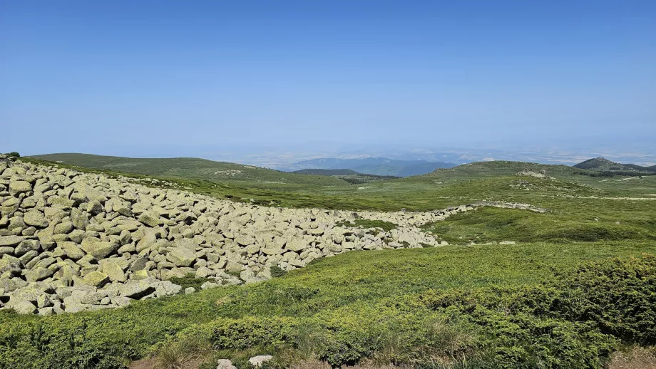 Views in the Vitosha Mountains