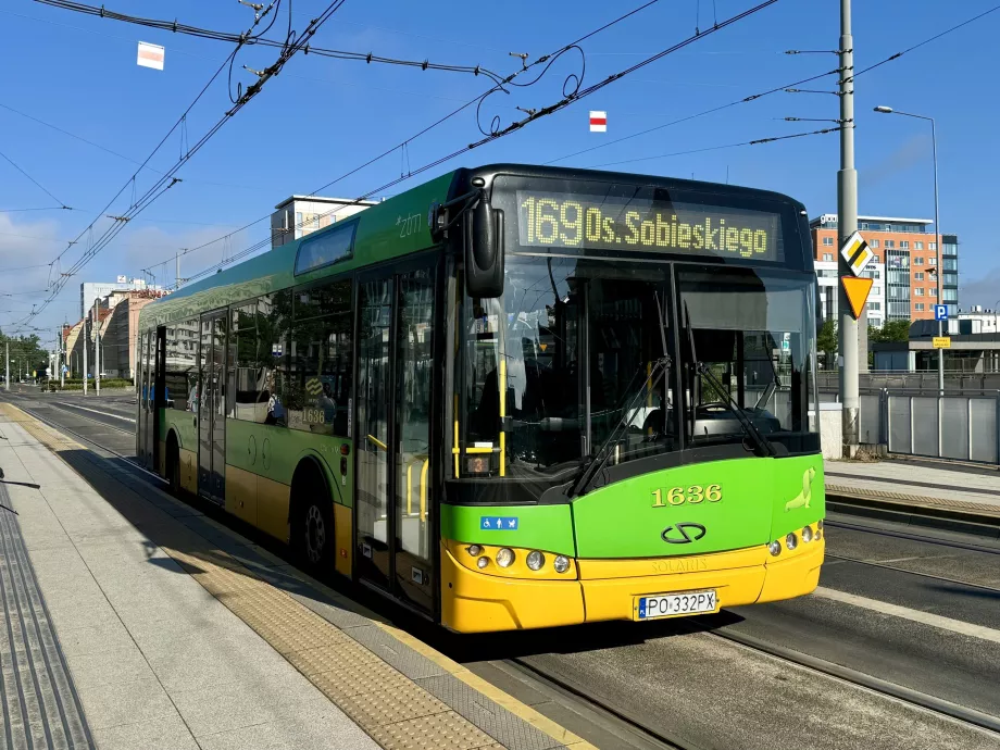 Buses in Poznan