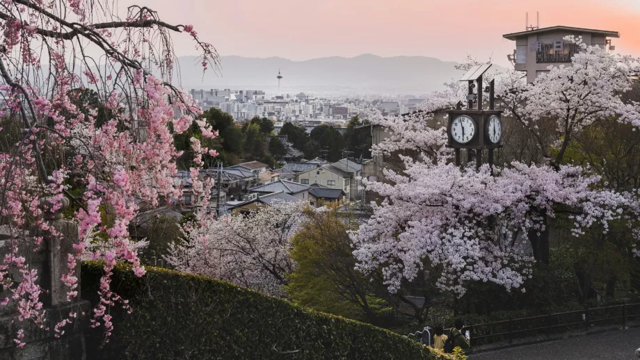 Spring Kyoto