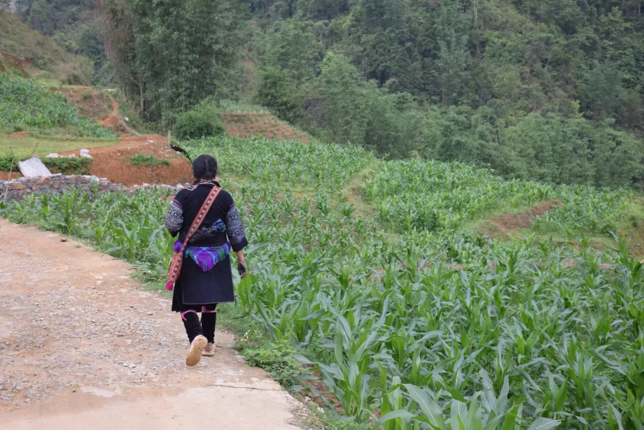 Sapa, Vietnam