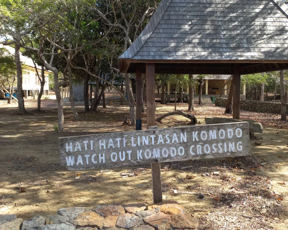 Attention, Varanus Komodo Islands, Indonesia