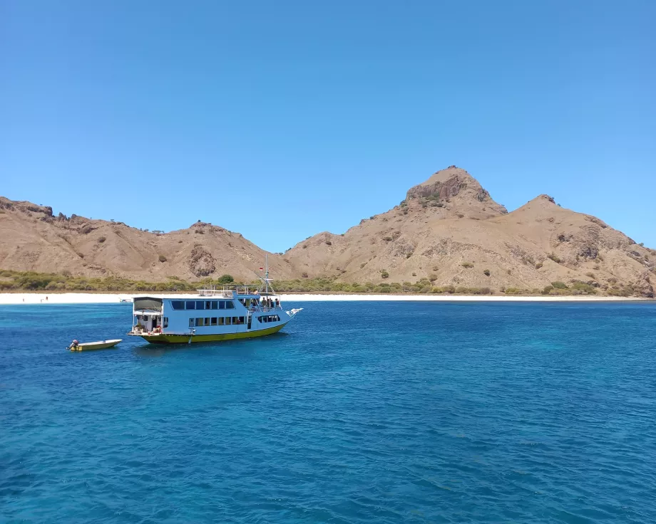 Rinca Island, Komodo Islands, Indonesia