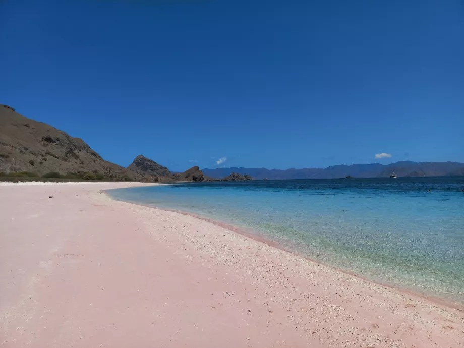 Pink Beach, Komodo Islands, Indonesia